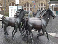 Aachen Reit- und Springturnier